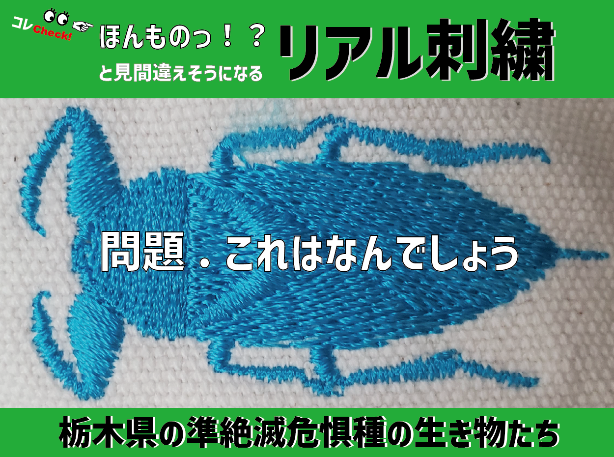 リアルな刺繍が唯一無二